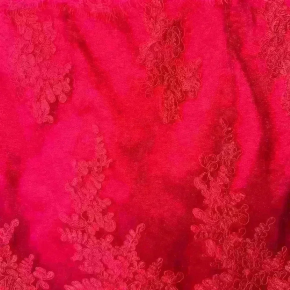 NWT Until We Meet Again Red Lace Embroidered Mini Dress Size Small - Picture 10 of 15